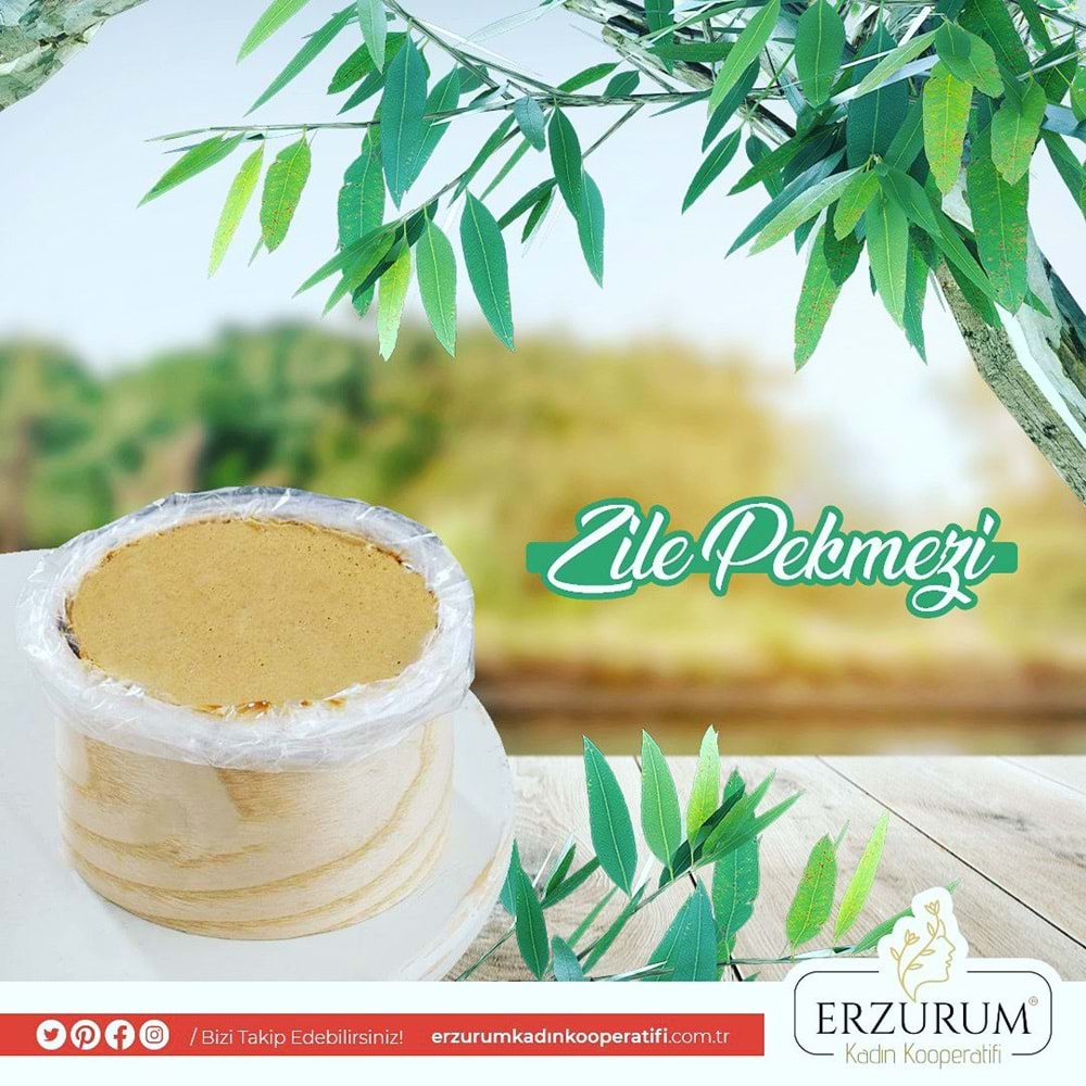 ZİLE ÜZÜM PEKMEZİ 750 GR