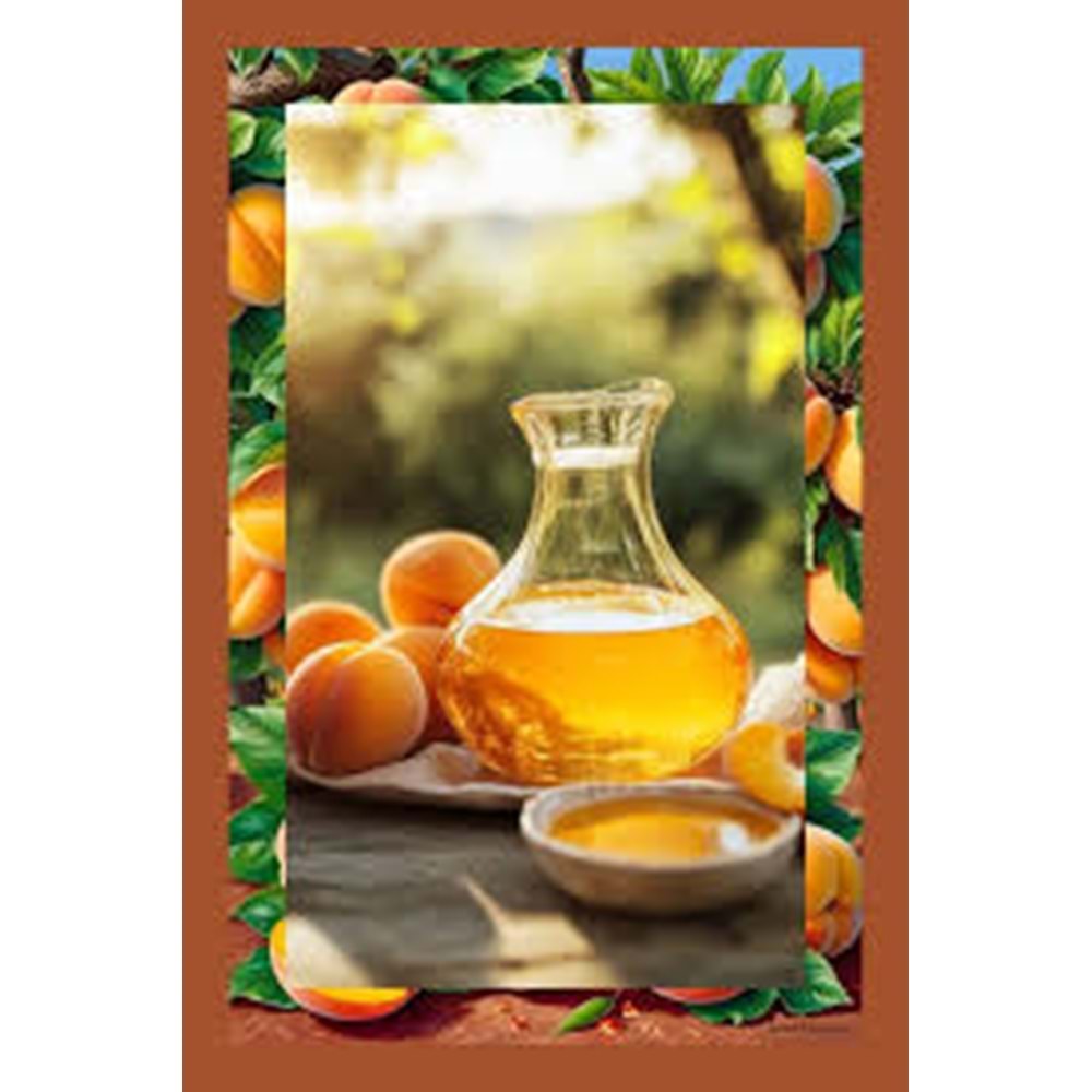 DETOKS SİRKESİ 500 ML